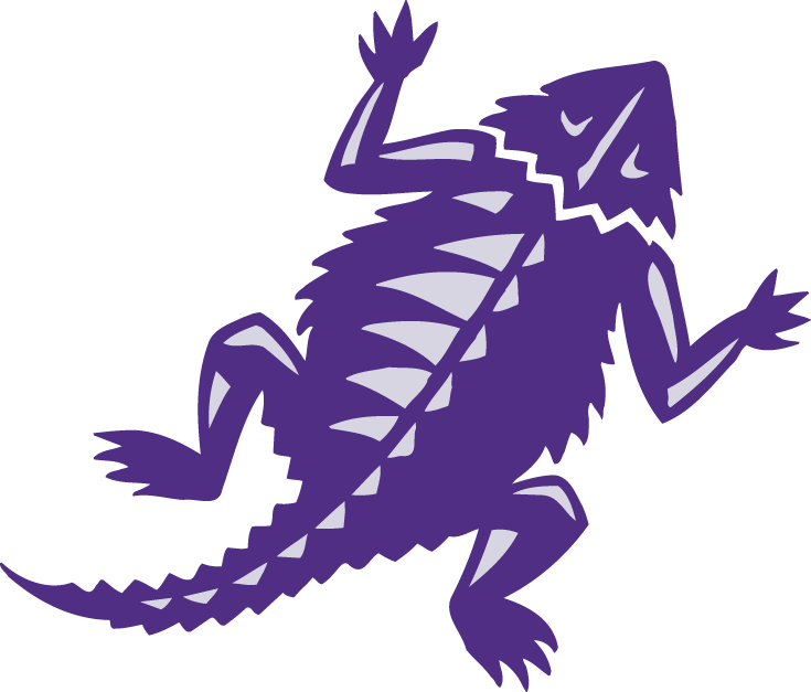 TCU Horned Frogs 2001-Pres Alternate Logo diy iron on heat transfer